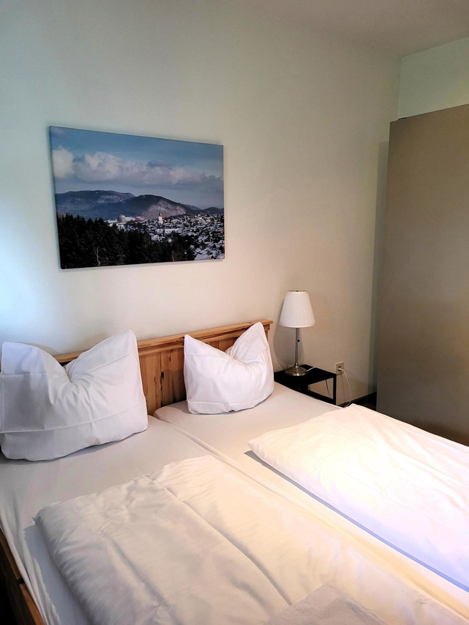 Winterberg Appartement 21097 Екстериор снимка