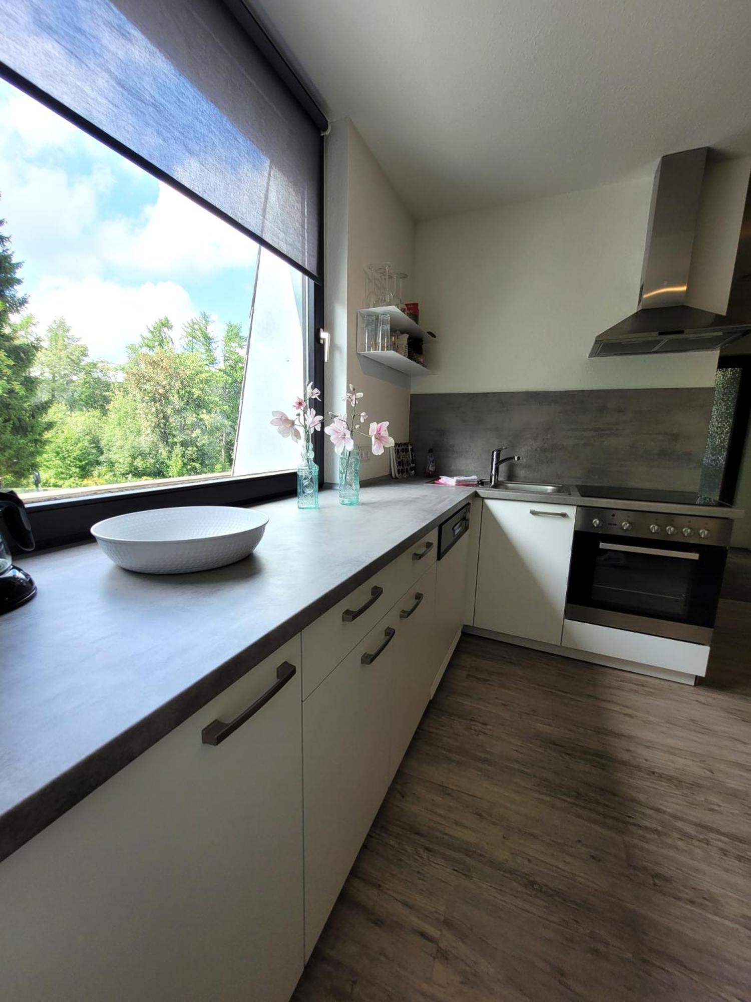 Winterberg Appartement 21097 Екстериор снимка